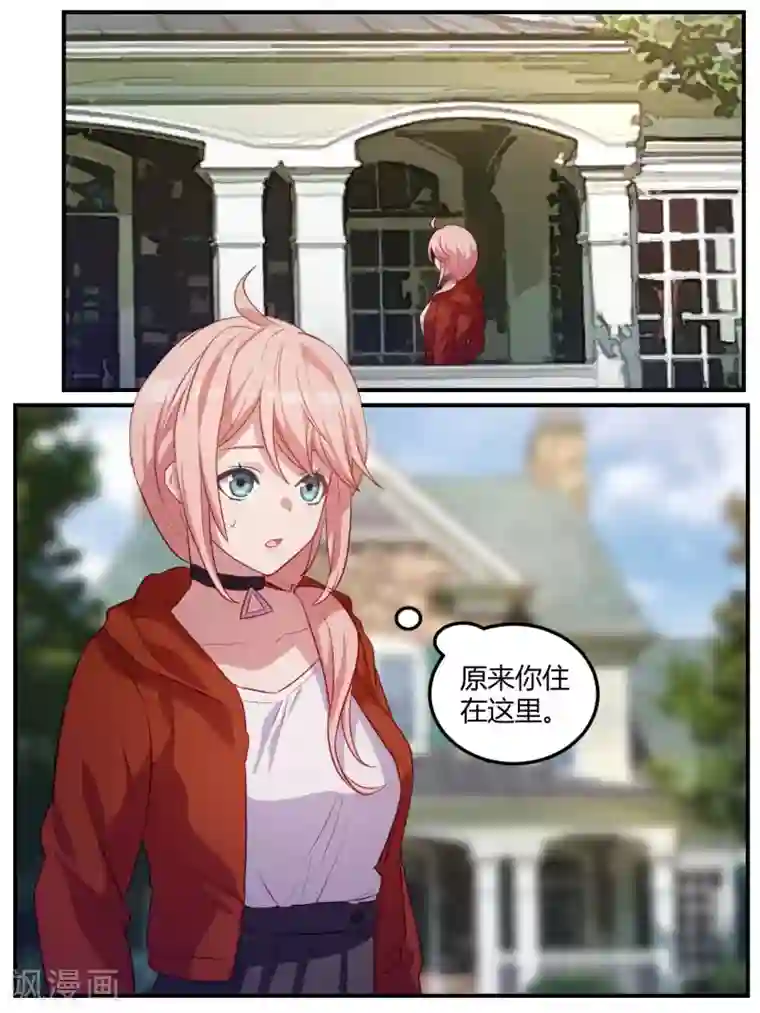 冷酷总裁的夏天第101话