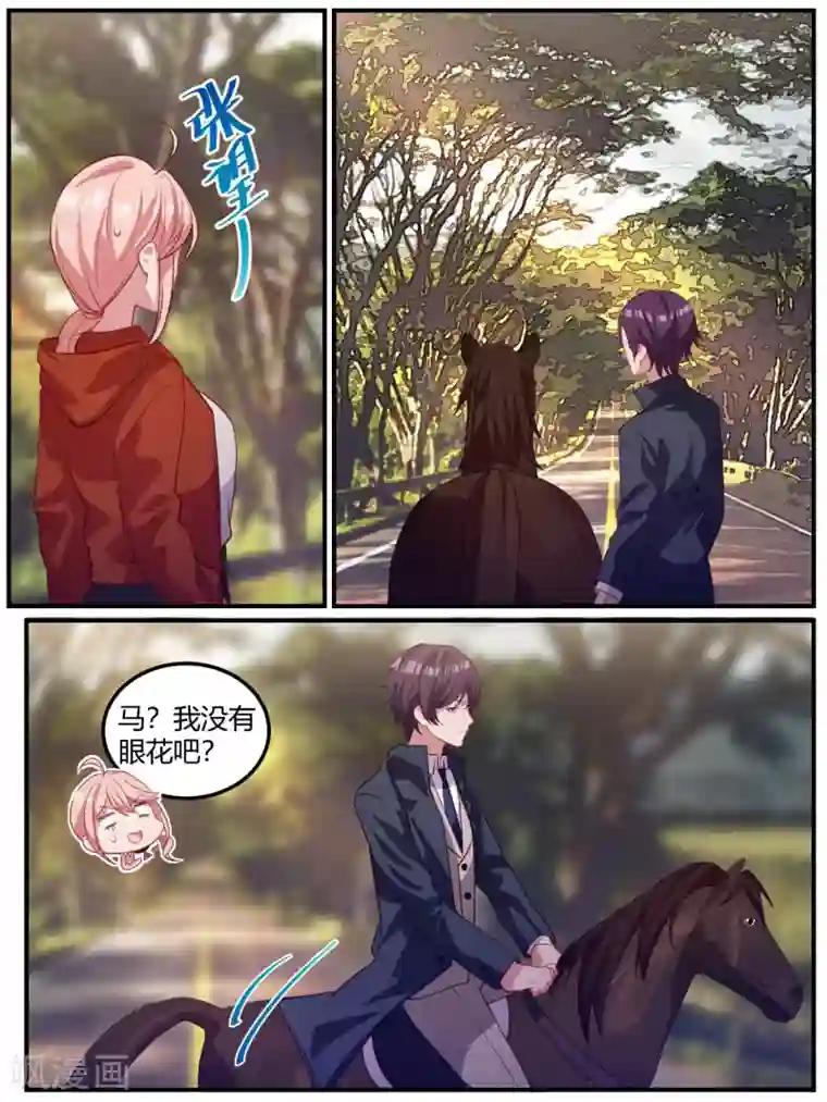 冷酷总裁的夏天第101话