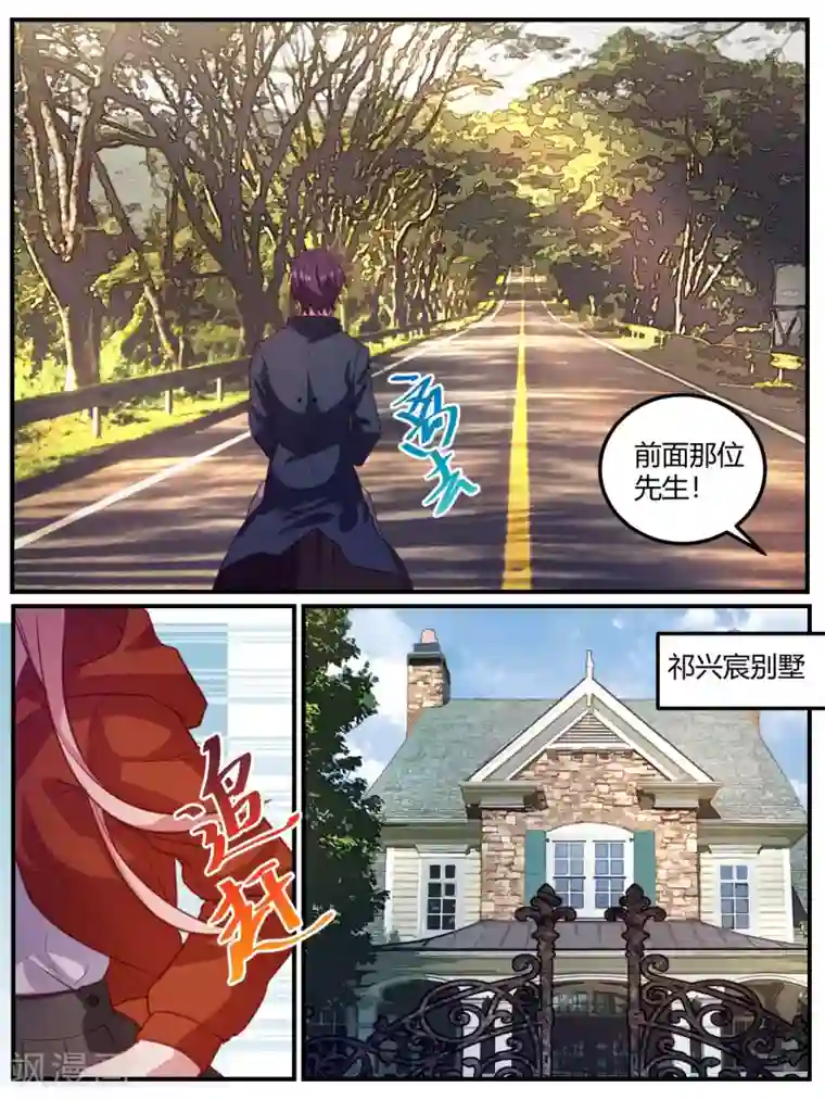 冷酷总裁的夏天第101话