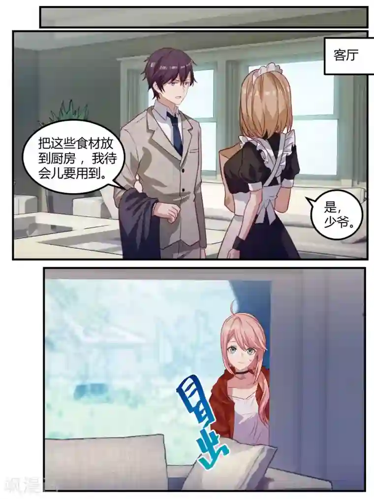 冷酷总裁的夏天第101话