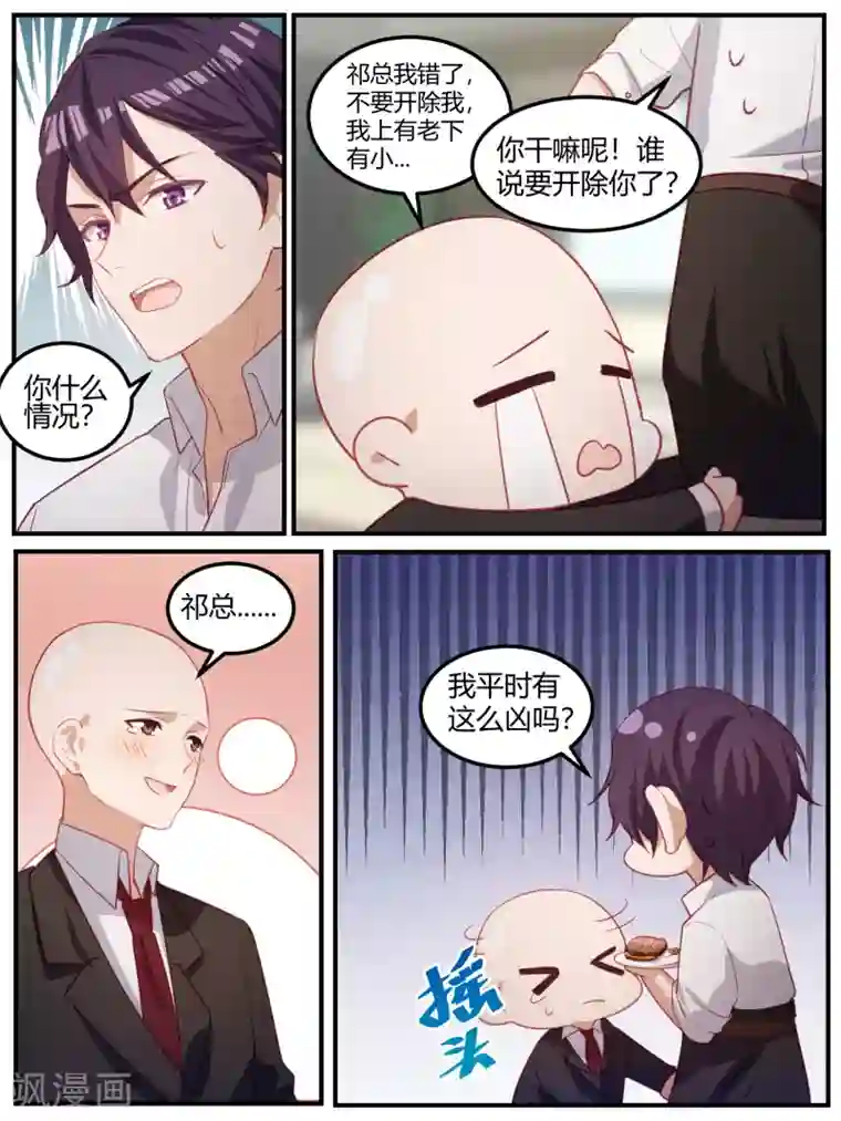 冷酷总裁的夏天第102话