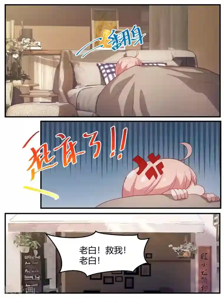 冷酷总裁的夏天第104话