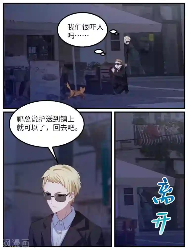 冷酷总裁的夏天第108话