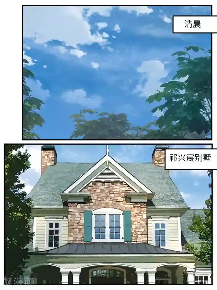 冷酷总裁的夏天第117话