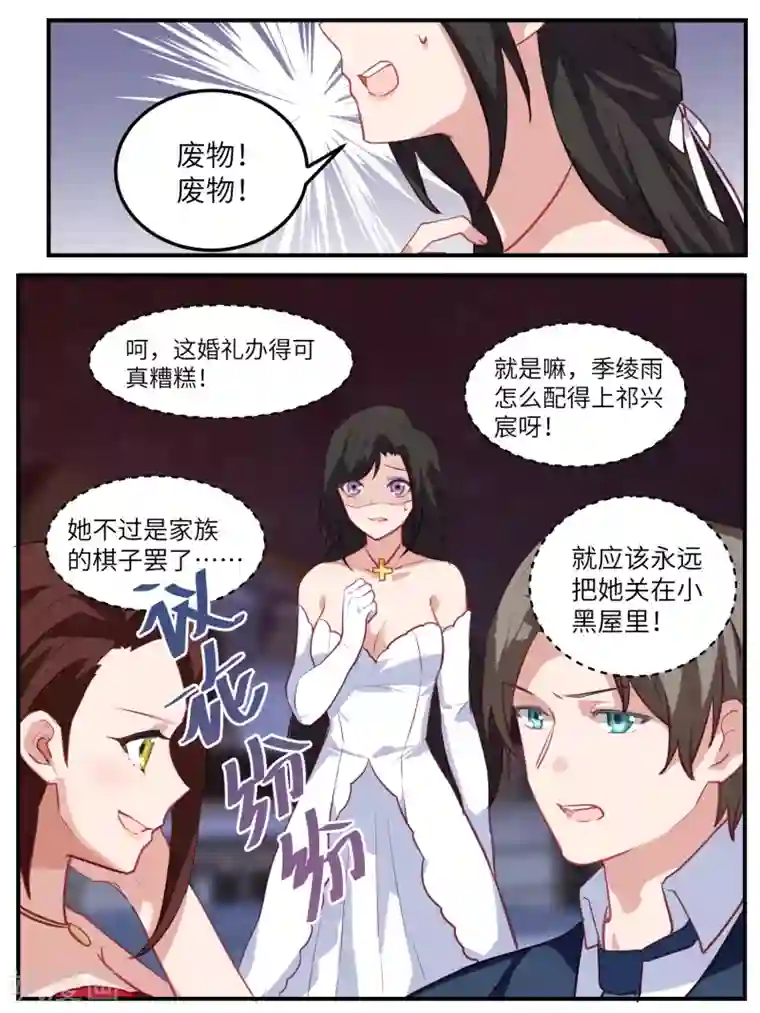 冷酷总裁的夏天第120话