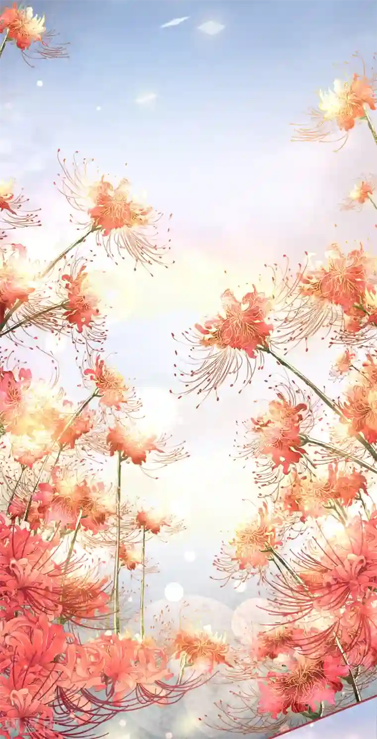 阴阳界的新娘第66话