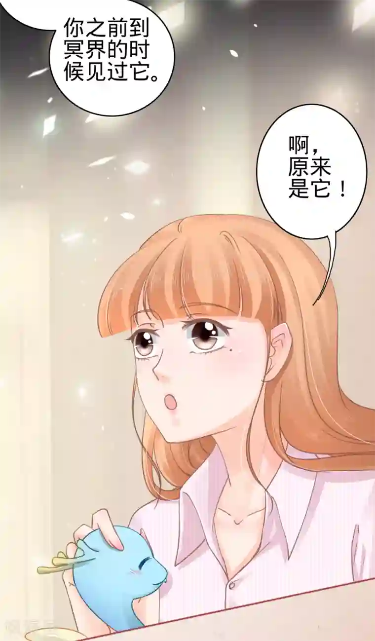 阴阳界的新娘第72话