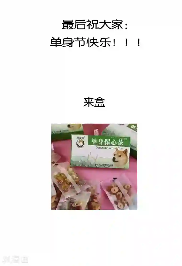 元气少女俏将军番外1 双十一都想剁手什么