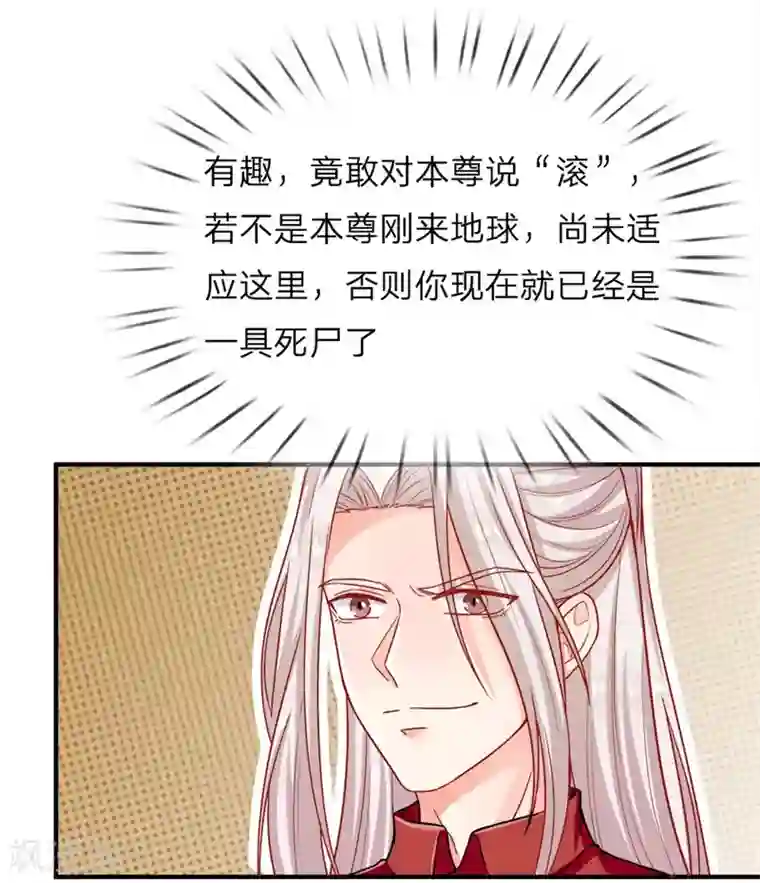 仙尊奶爸当赘婿第3话 婚礼现场，百般刁难