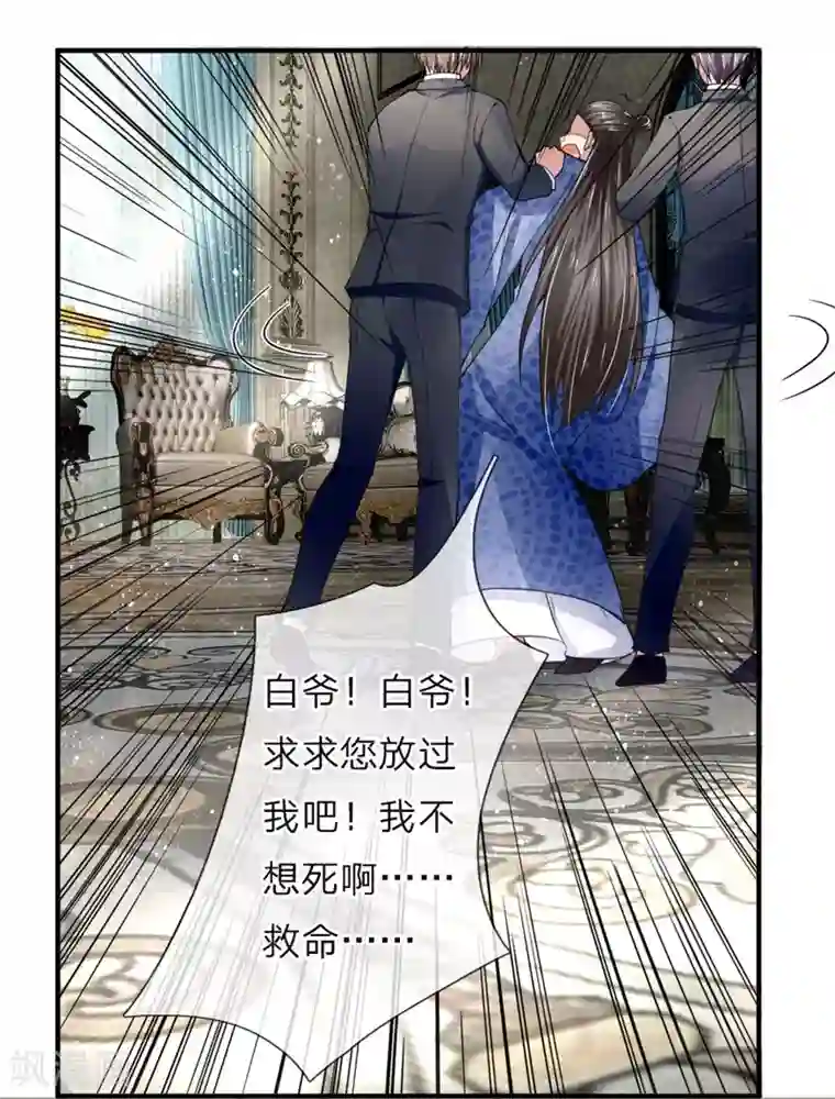 仙尊奶爸当赘婿第35话 白家道歉，出尔反尔