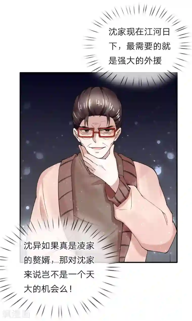 仙尊奶爸当赘婿第40话 凌家赘婿，利用价值