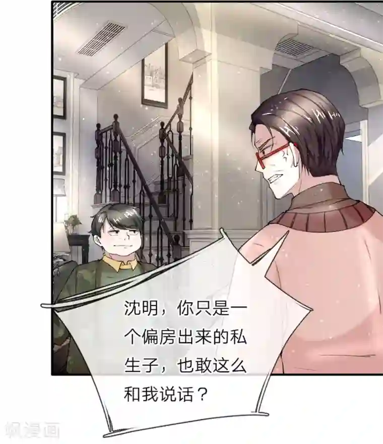 仙尊奶爸当赘婿第40话 凌家赘婿，利用价值
