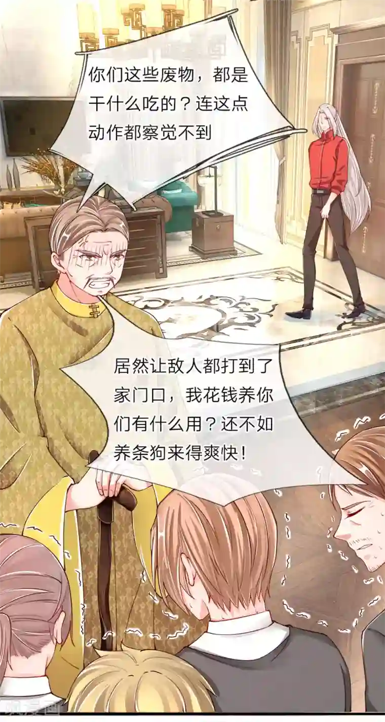 仙尊奶爸当赘婿第45话 错就是错，沈家事毕