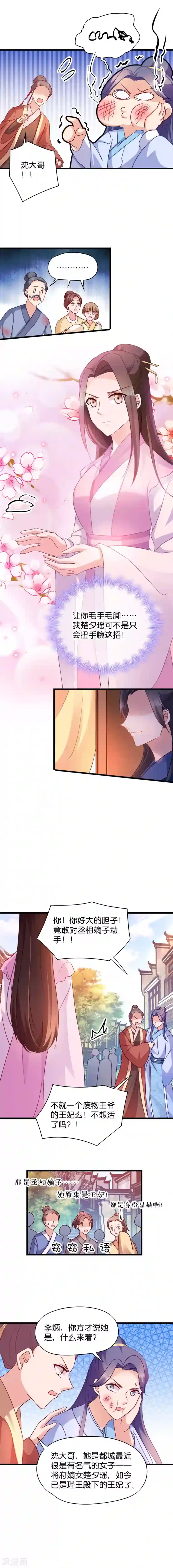 读心狂妃倾天下第36话 丞相嫡子