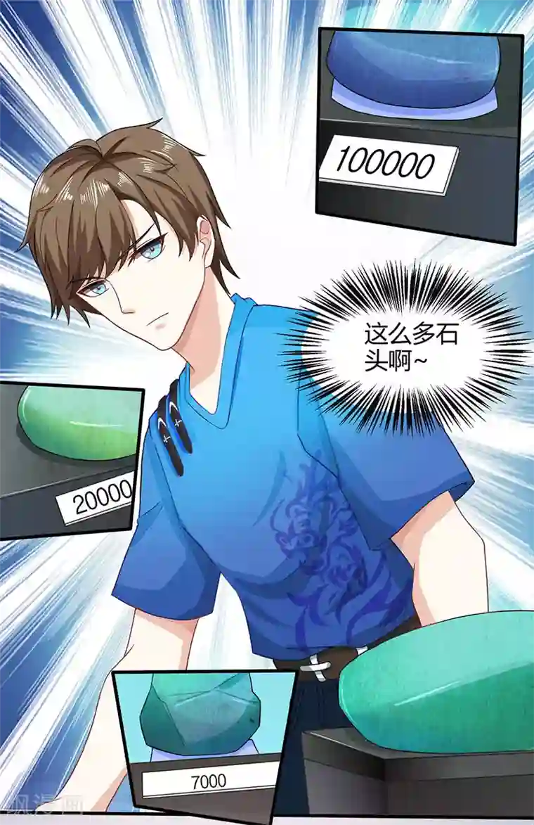 天才狂医第14话 赌石