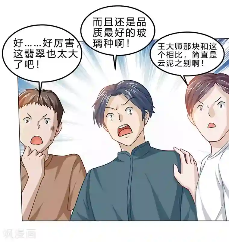 天才狂医第17话 “废石”出绿了