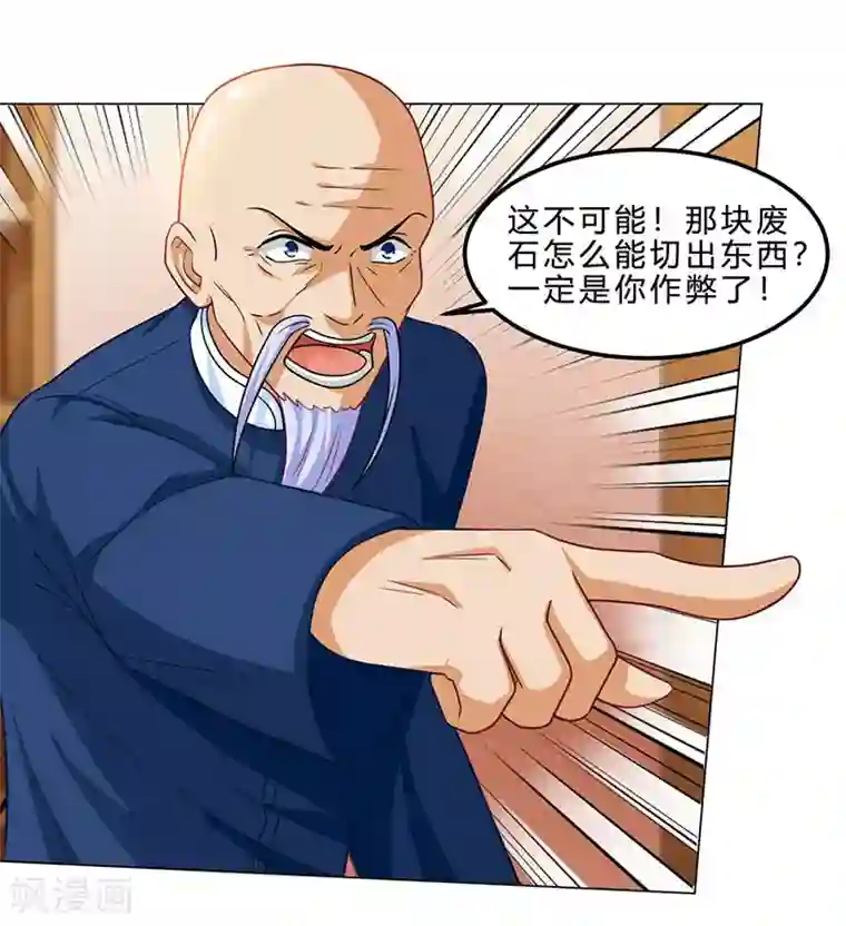 天才狂医第17话 “废石”出绿了