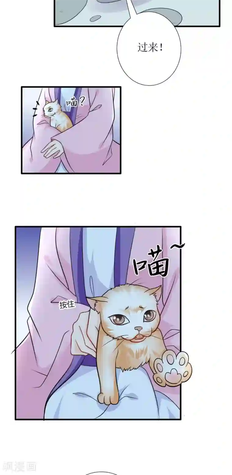 千秋我为凰第31话 沈娴的奋斗目标