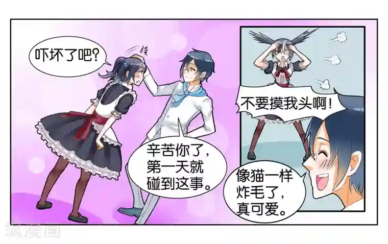 女友男神第7话 竞争对手