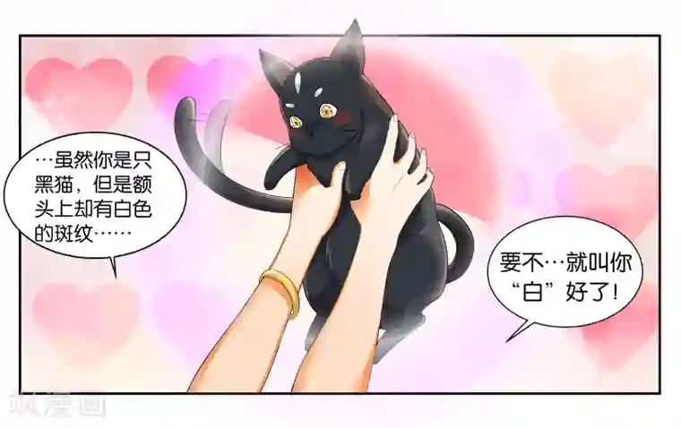 女友男神第13话 小鱼干与绿豆饼