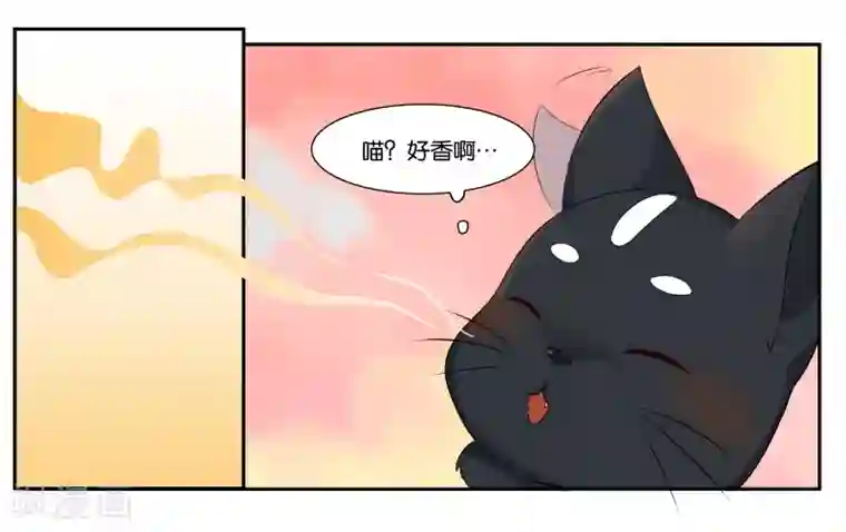 女友男神第13话 小鱼干与绿豆饼