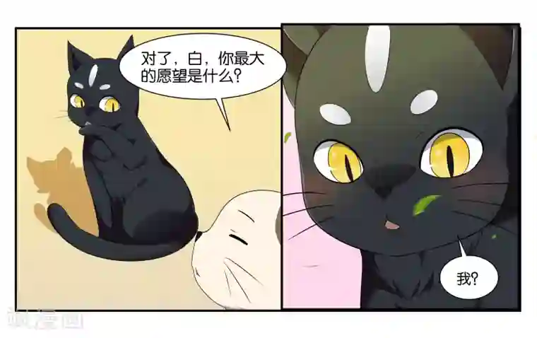 女友男神第14话 实现愿望的人