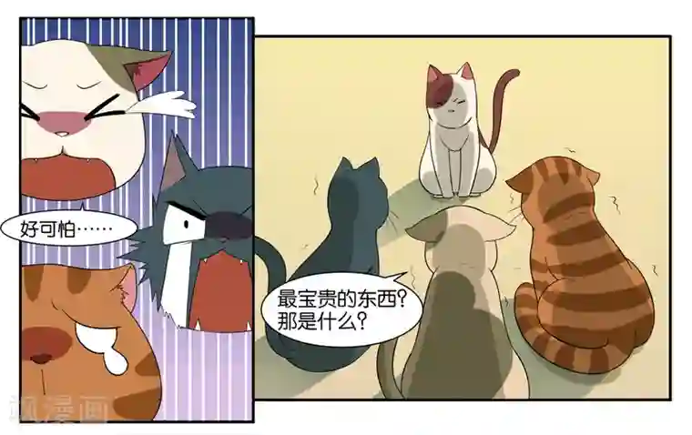 女友男神第14话 实现愿望的人