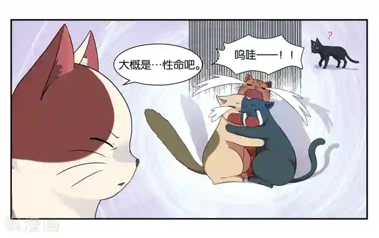 女友男神第14话 实现愿望的人