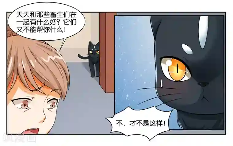 女友男神第16话 迷路的小猫咪