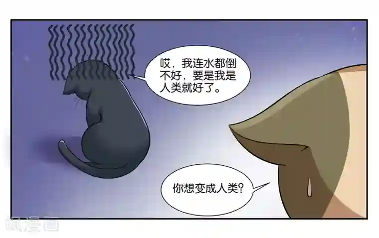女友男神第16话 迷路的小猫咪