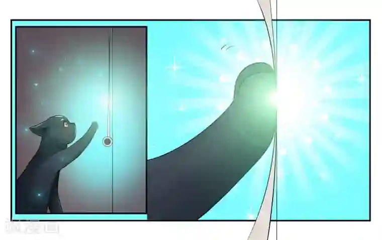 女友男神第16话 迷路的小猫咪