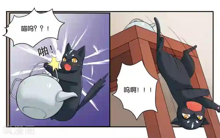 女友男神第16话 迷路的小猫咪