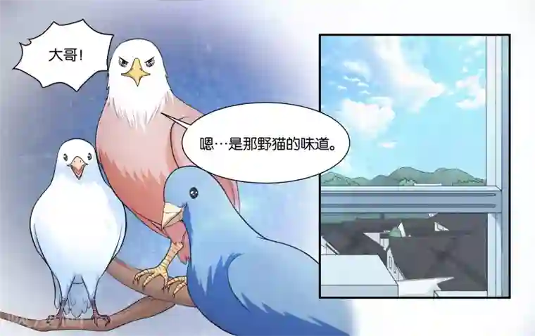 女友男神第19话 不听话的小野猫