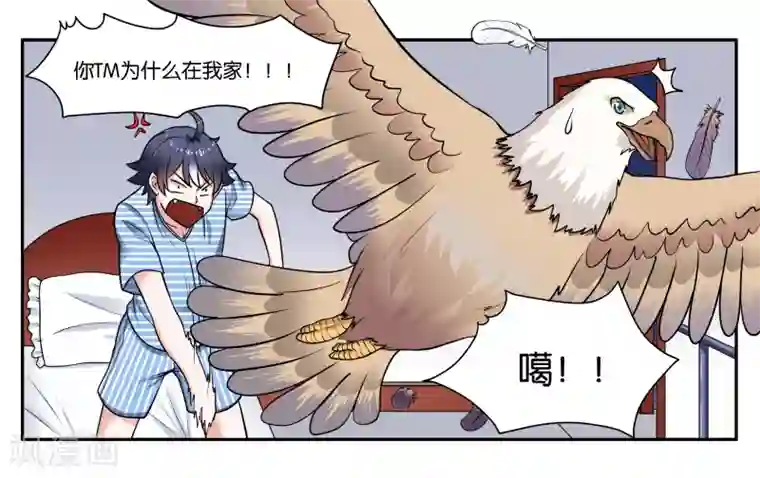 女友男神第26话 江临古镇博物馆