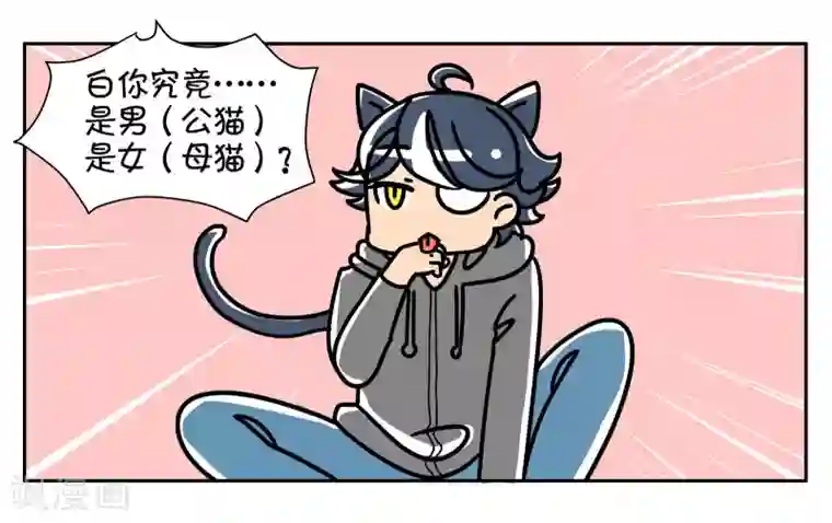 女友男神番外5