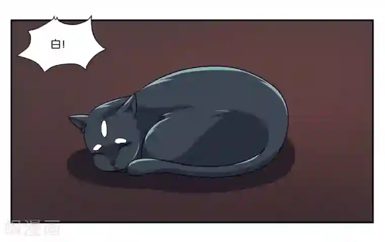 女友男神第104话 转生