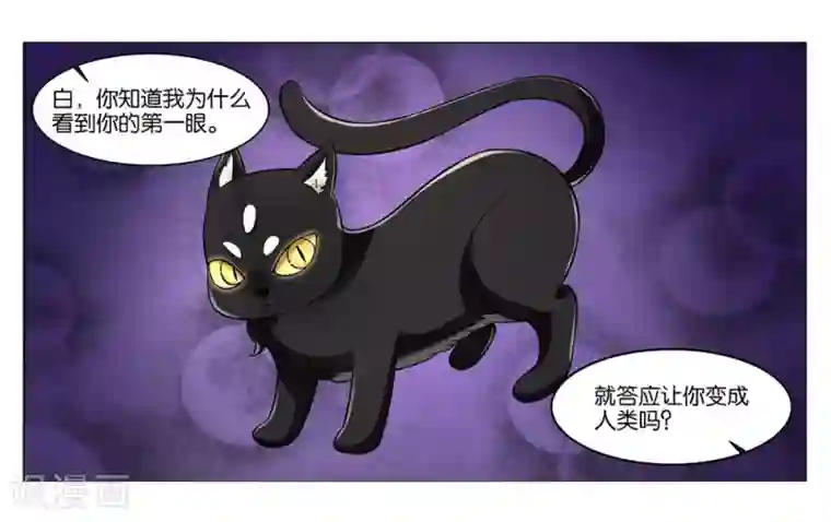 女友男神第104话 转生