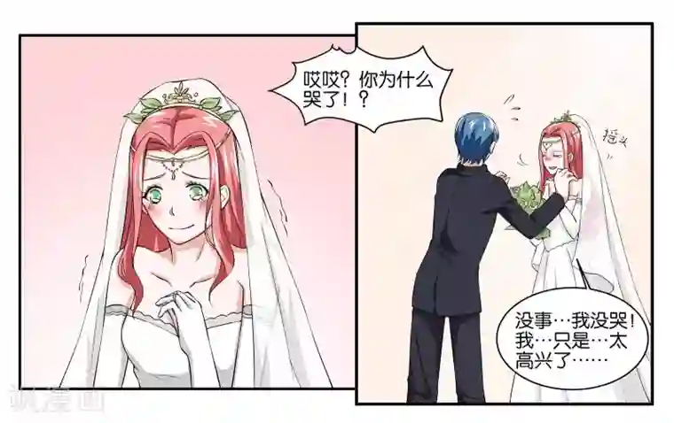 女友男神最终话 婚礼的祝福