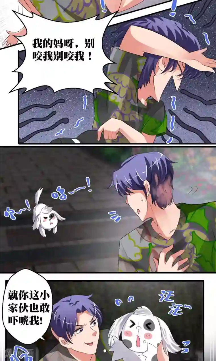 豪门争斗之散打女王第45话