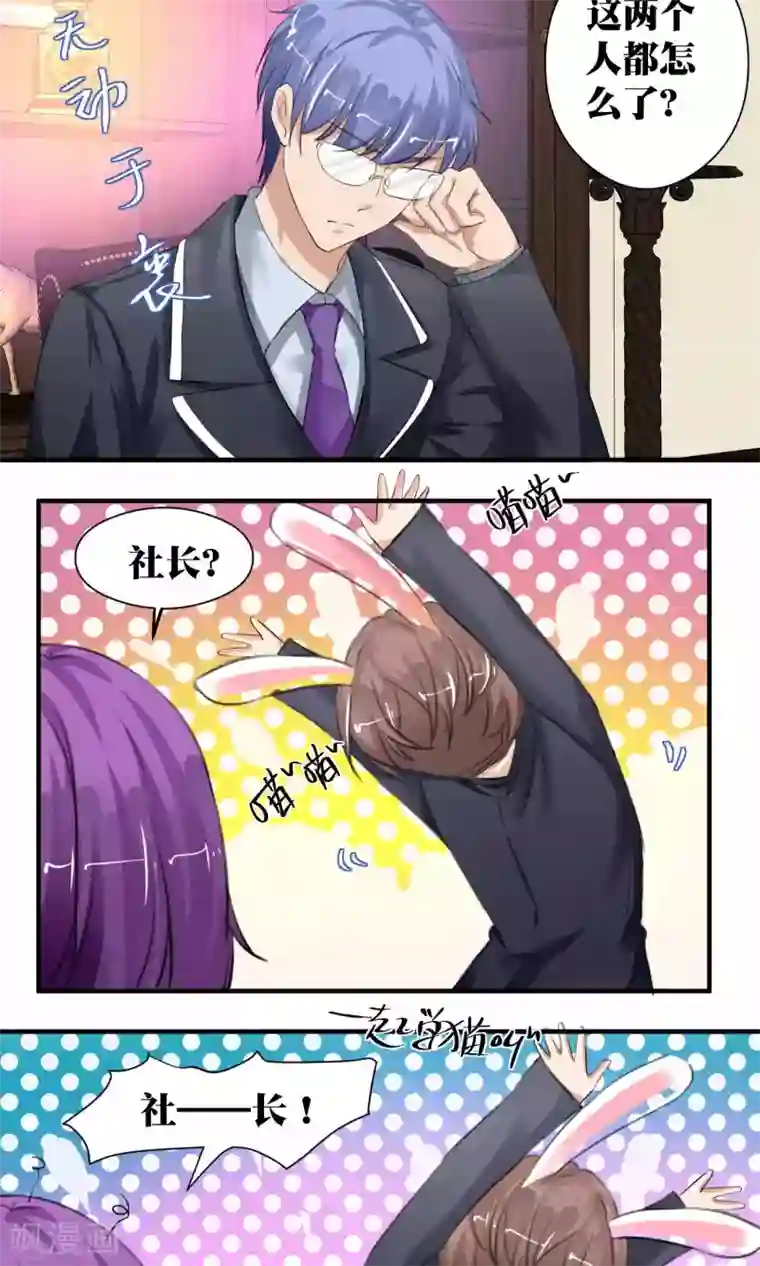 豪门争斗之散打女王第51话