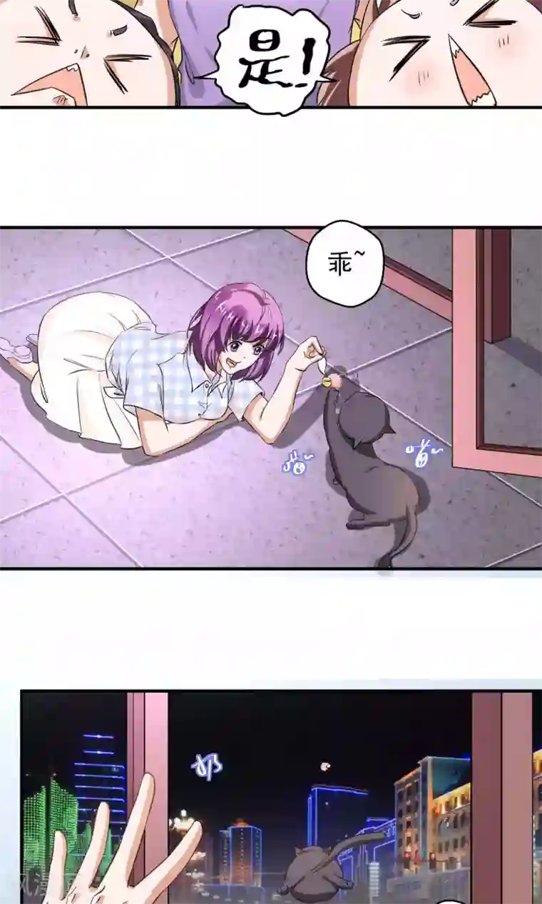 豪门争斗之散打女王第60话