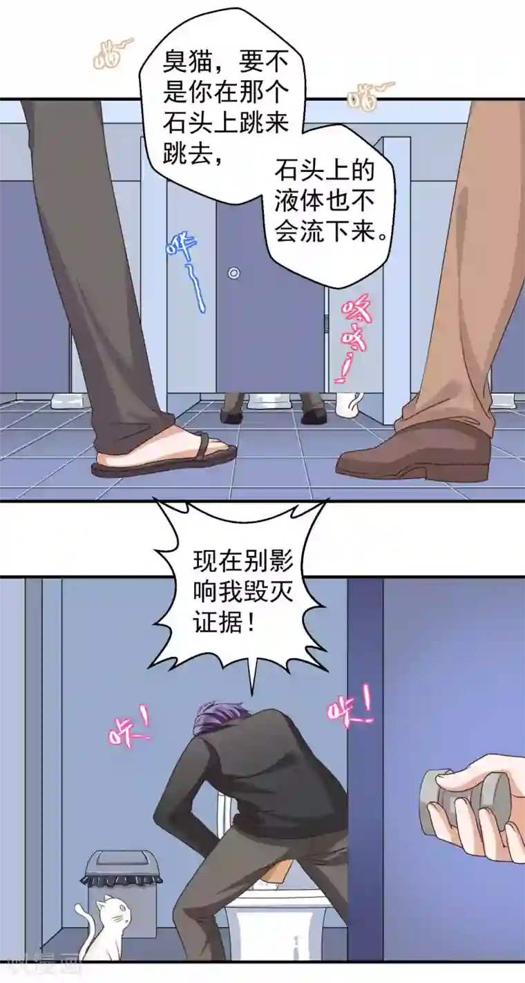 豪门争斗之散打女王第61话