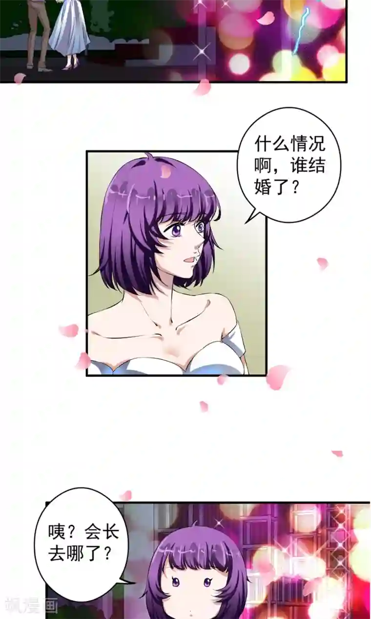 豪门争斗之散打女王最终话