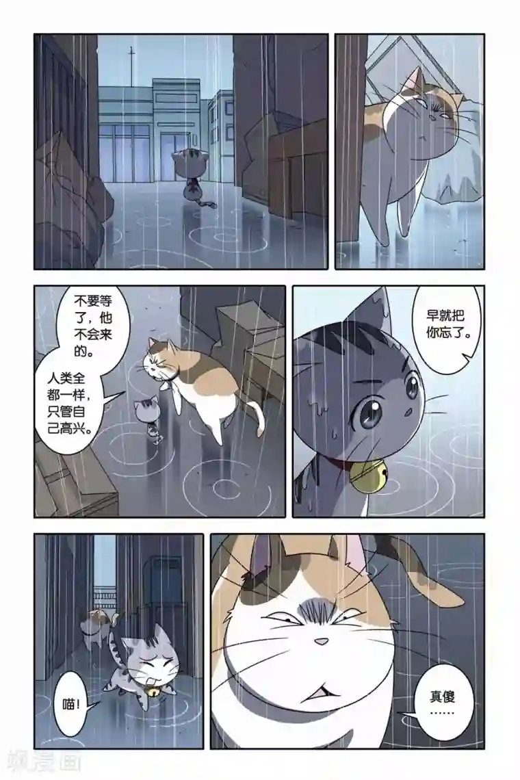 三十岁女人喜欢被㖭第04话 约定，猫的复仇