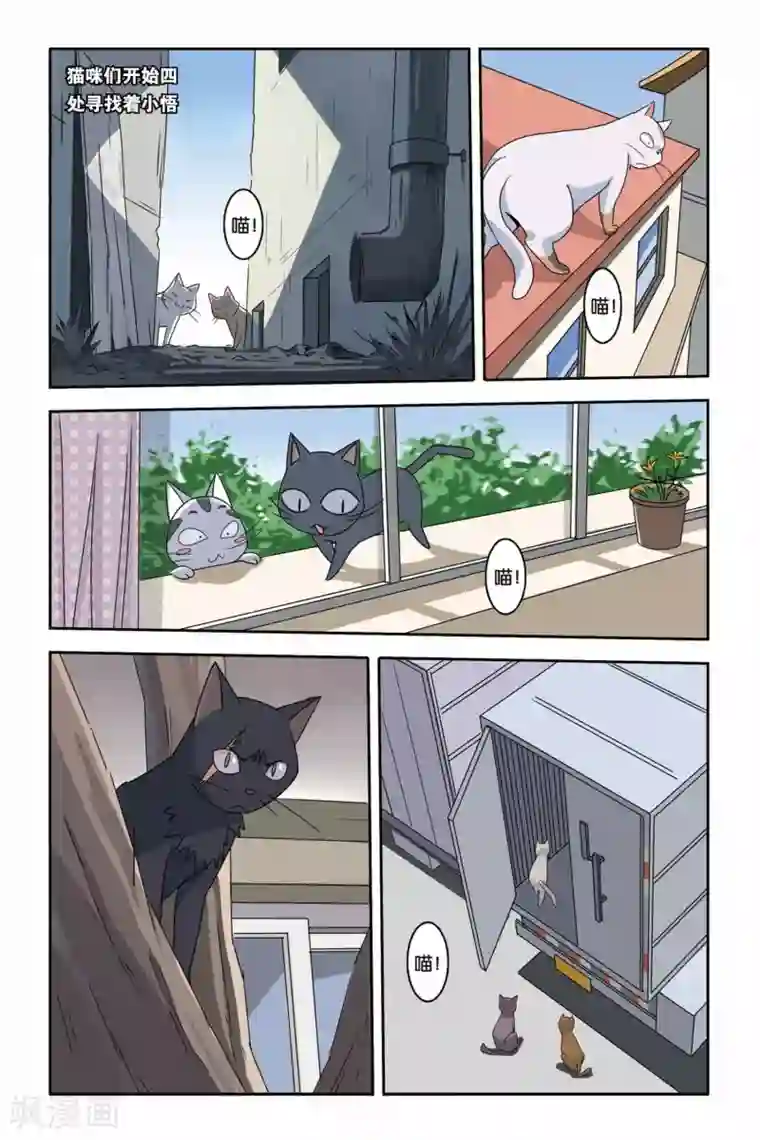 御狐之绊第09话 寻找小悟