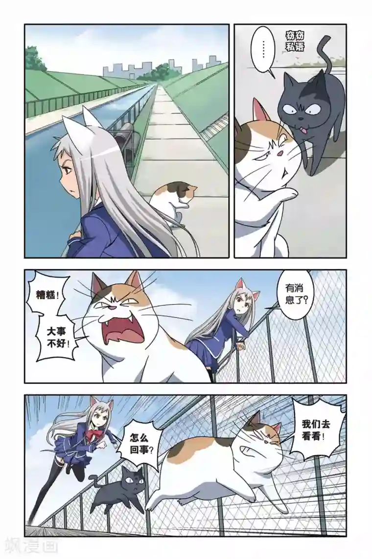 御狐之绊第09话 寻找小悟