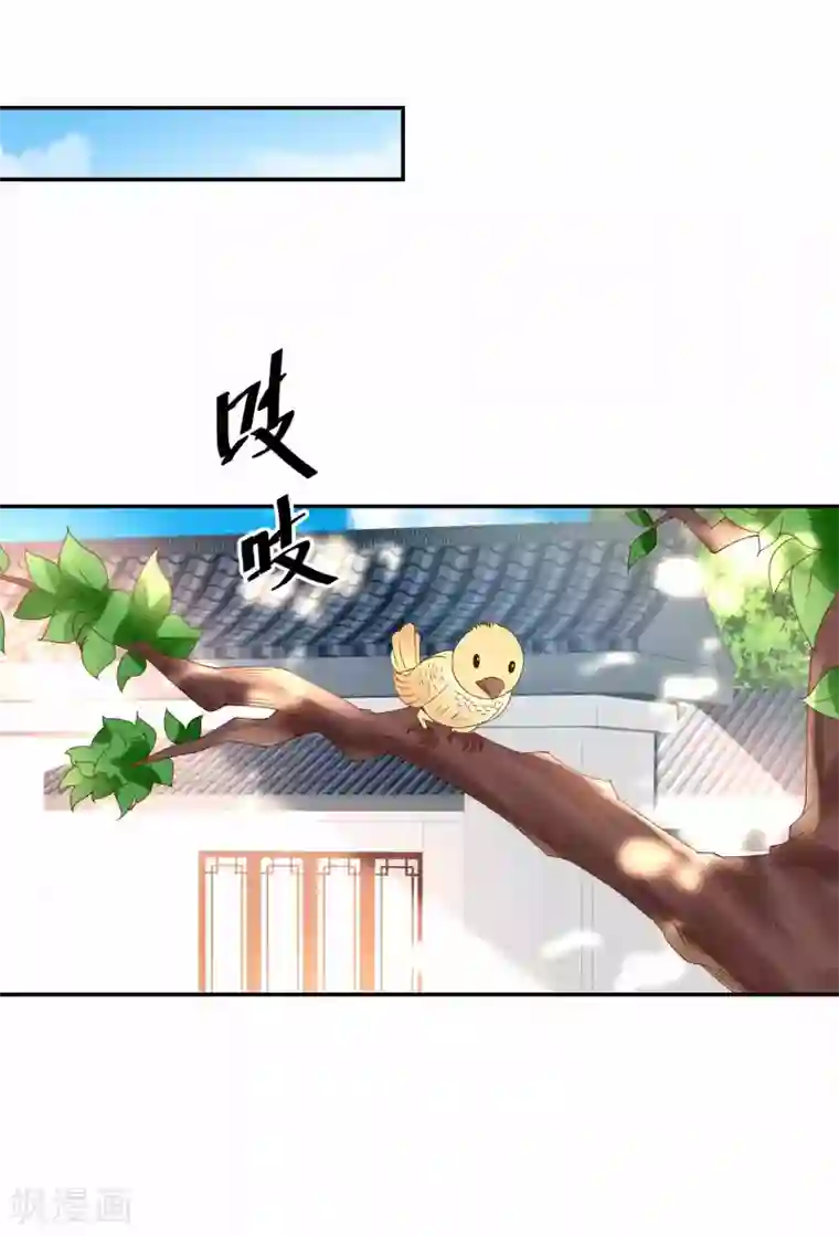 农女殊色第178话 同居人小石头