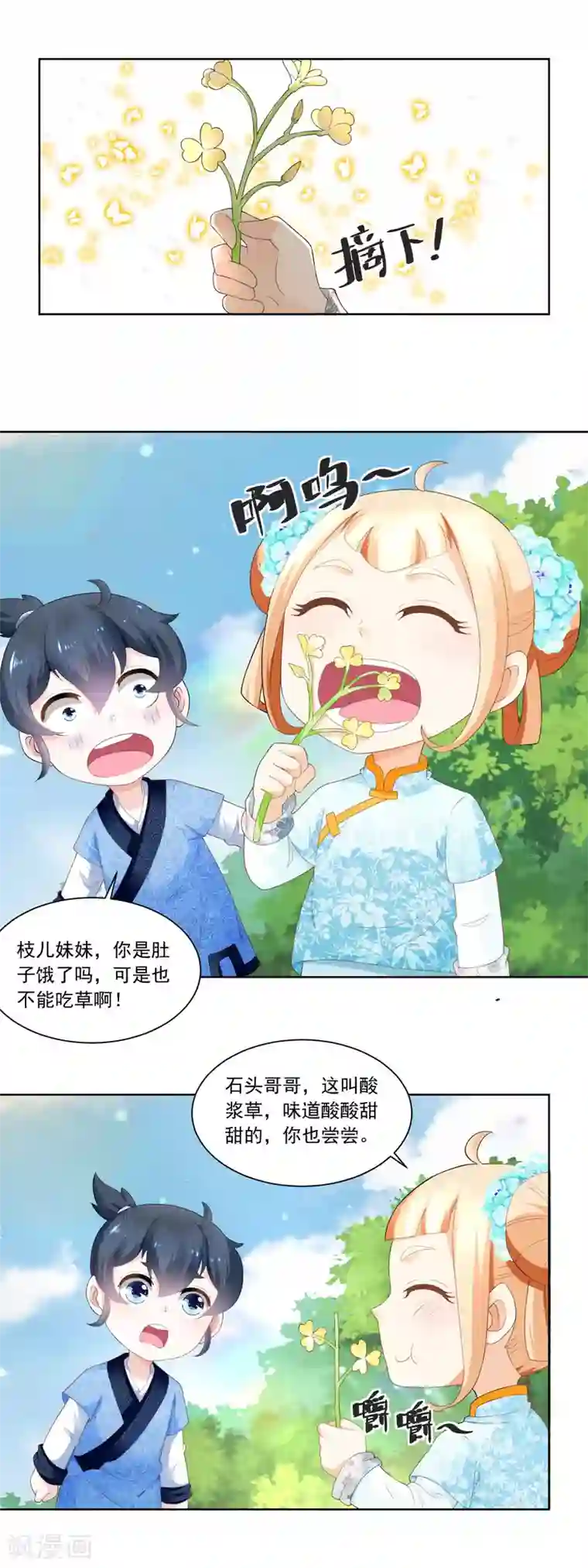 农女殊色第74话 酸浆草