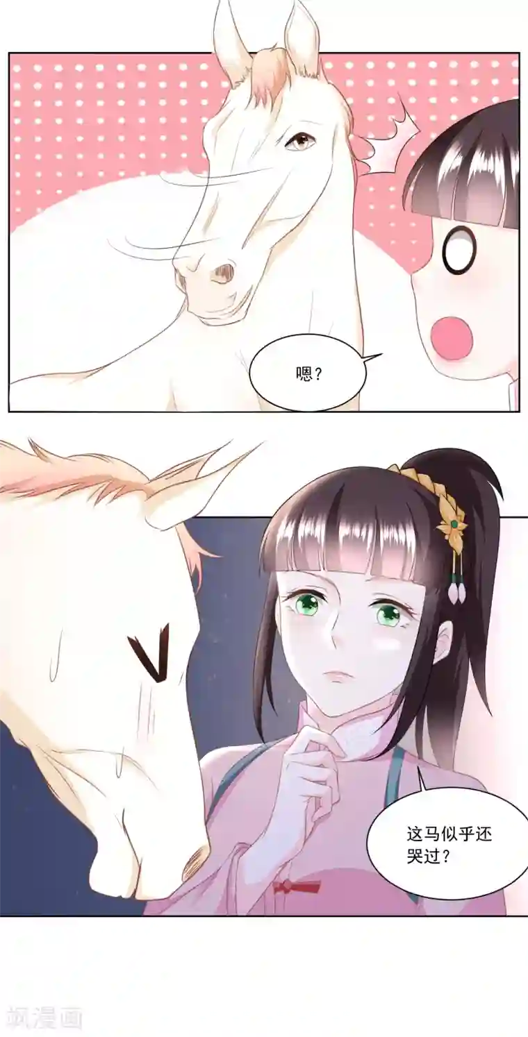 农女殊色第141话 组商队