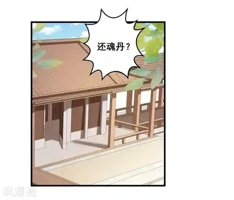 王妃有毒第4话 扭转名声的第一步